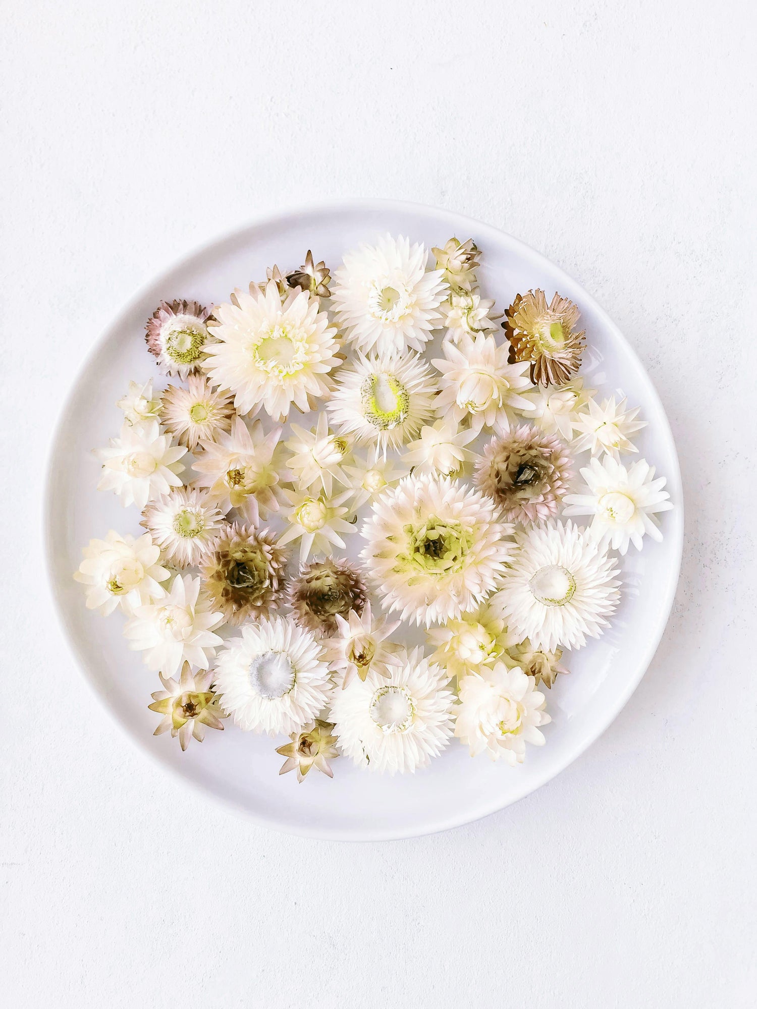 Natural brown tones floral dried preserved arrngements