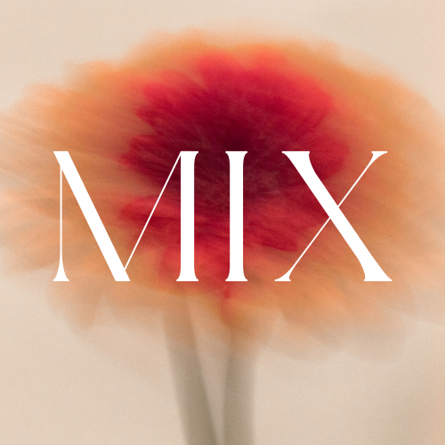 BlossMIX Floral Studio