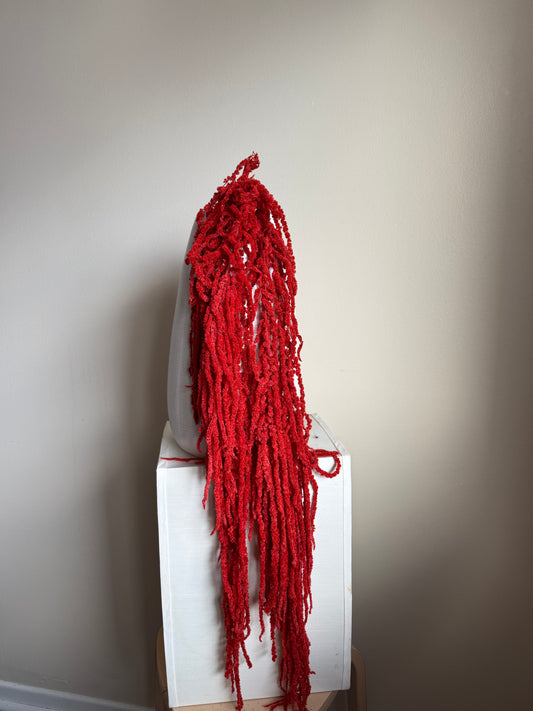 Amaranthus Hanging