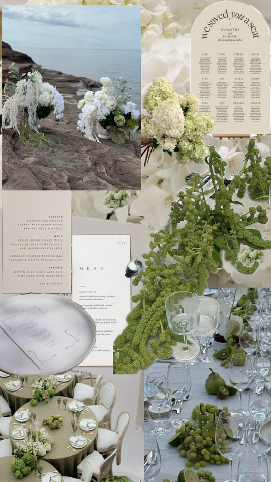 Rental - Contemporary Whimsical White Package